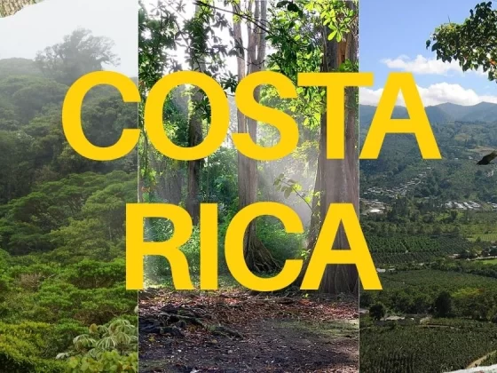 9 Best Ecotourism Destinations in Costa Rica on Budget